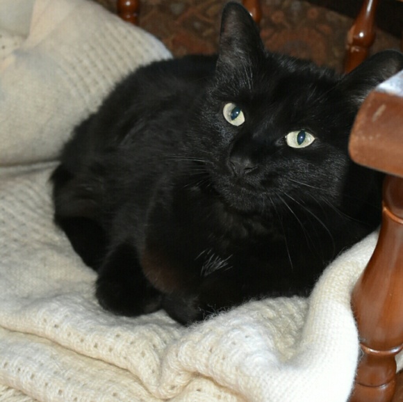 Beautiful soul items finding their way to You! - Picture 2 of 5